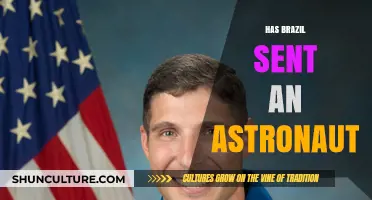 Has Brazil Sent an Astronaut to Space? Exploring the Facts