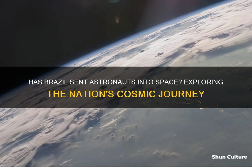 has brazil sent astronaunts into space