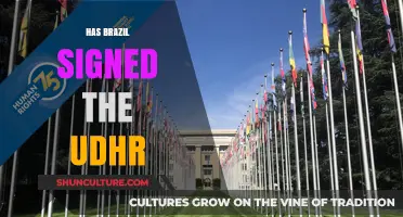 Brazil and the UDHR: A Historical Commitment to Human Rights