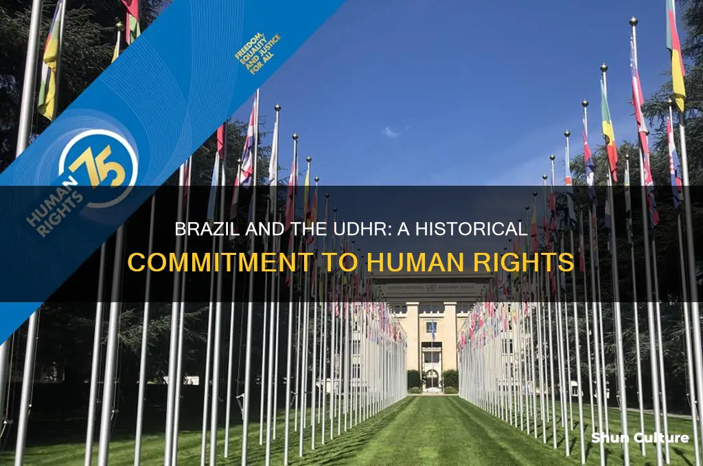 has brazil signed the udhr