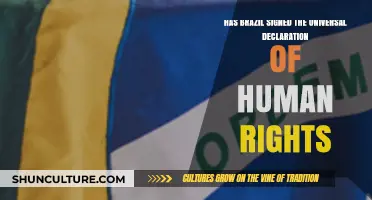 Brazil's Commitment: Has It Endorsed the Universal Declaration of Human Rights?
