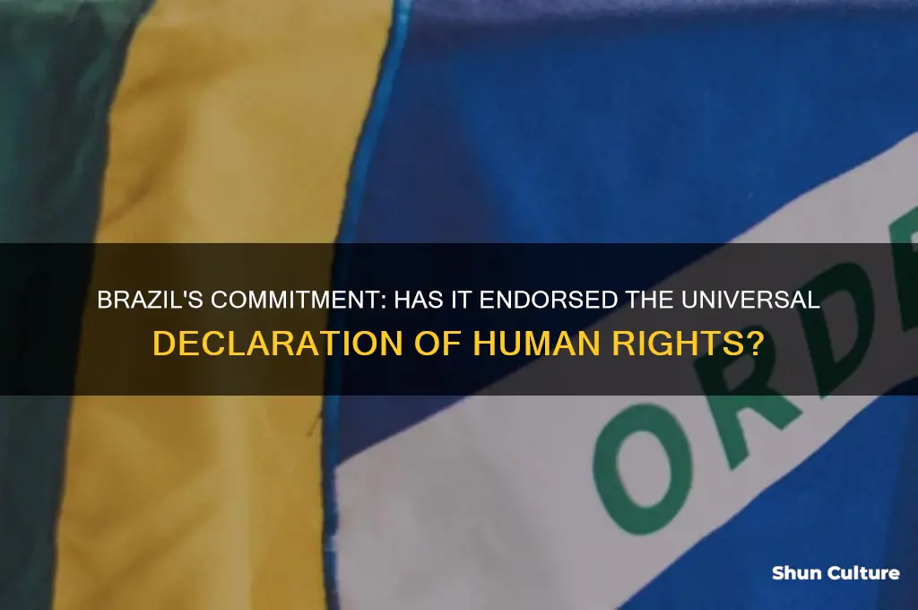 has brazil signed the universal declaration of human rights