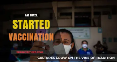Brazil's COVID-19 Vaccination Rollout: Progress, Challenges, and Future Outlook