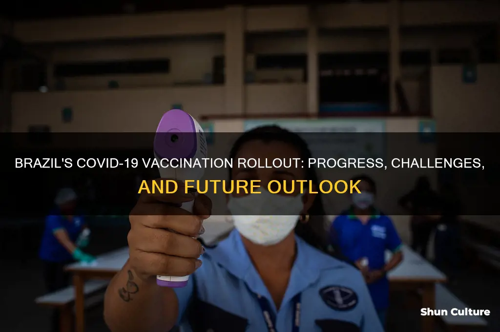 has brazil started vaccination