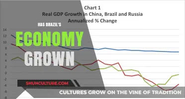 Brazil's Economic Growth: Trends, Challenges, and Future Prospects Explored