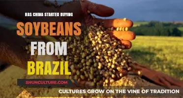 China's Shift: Brazil Soybean Imports Rising Amid Trade Dynamics