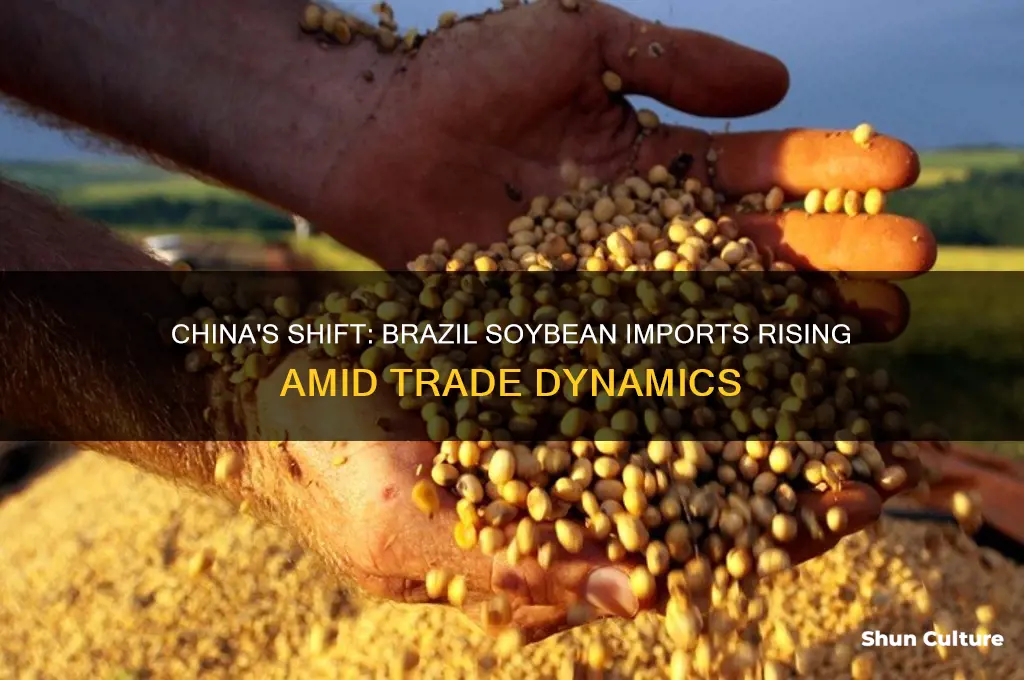has china started buying soybeans from brazil