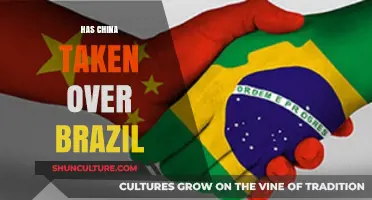 China's Growing Influence in Brazil: Economic Takeover or Partnership?
