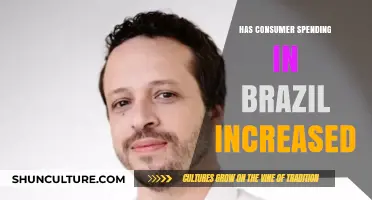 Brazil's Consumer Spending Surge: Trends, Drivers, and Economic Impact