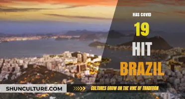 COVID-19's Devastating Impact on Brazil: A Comprehensive Analysis