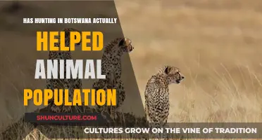 Botswana's Hunting Policies: Boon or Bane for Wildlife Conservation?