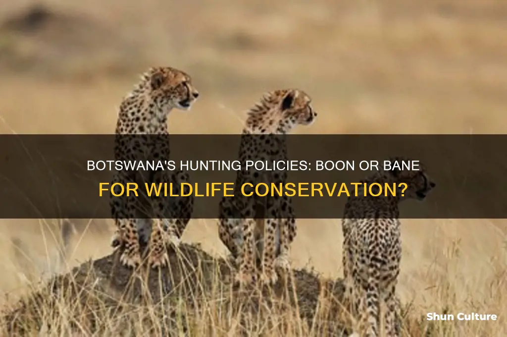 has hunting in botswana actually helped animal population