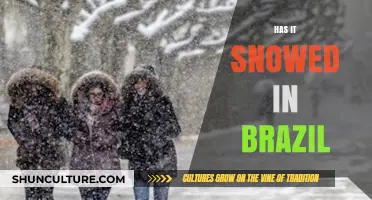 Has It Snowed in Brazil? Exploring Rare Weather Phenomena