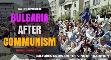 Post-Communist Bulgaria: Progress, Challenges, and the Quest for Improvement