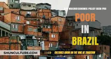 Has Brazil's Macroeconomic Policy Truly Benefited the Poor?