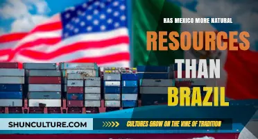 Mexico vs. Brazil: Comparing Natural Resource Wealth and Economic Impact
