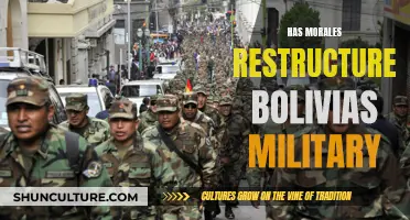 Did Morales' Reforms Change Bolivia's Military Forever?