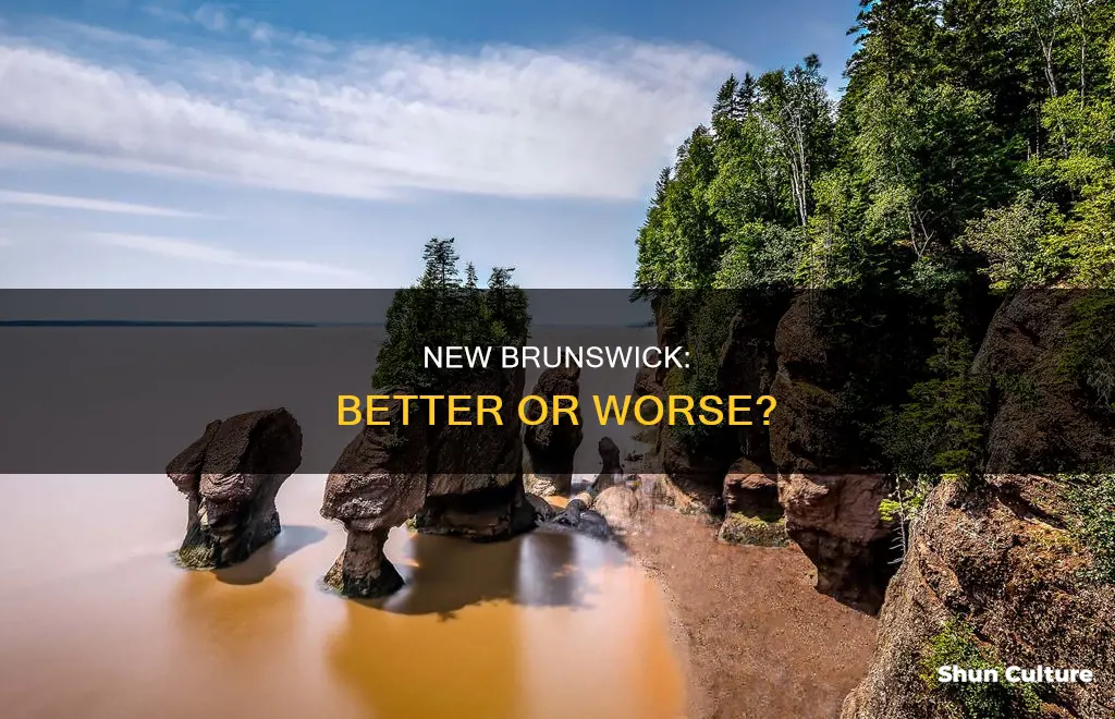 has new brunswick improved