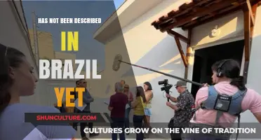 Undiscovered in Brazil: Exploring the Unexplained and Unseen Phenomena