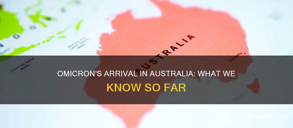 has omicron been found in australia