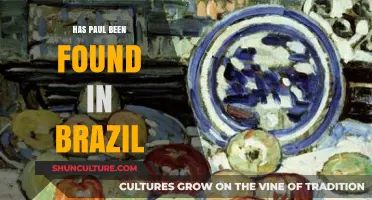 Has Paul Been Found in Brazil? Unraveling the Mystery