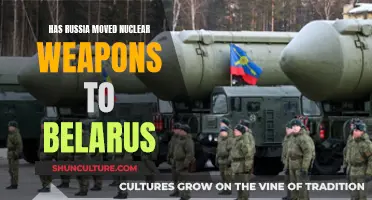 Russia's Nuclear Weaponry in Belarus: What's Happening?