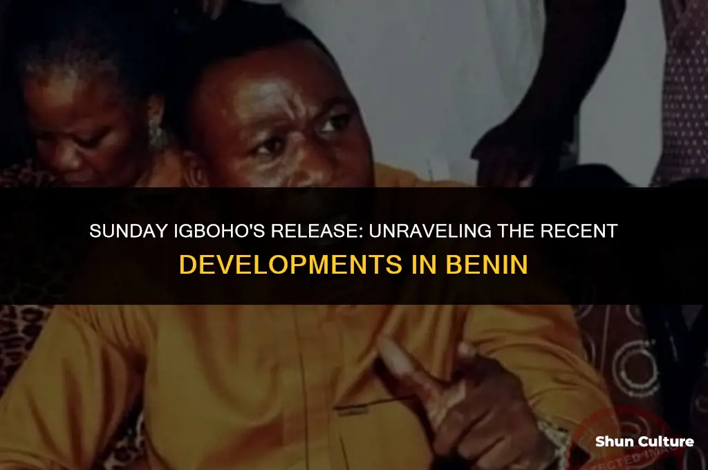 has sunday igboho been released from benin