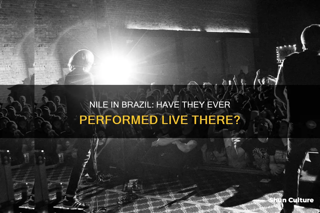 has the band nile ever been live in brazil