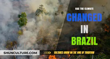 Brazil's Climate Crisis: Unraveling the Shifts and Impacts in Recent Years