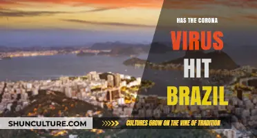 Brazil's Battle: How COVID-19 Impacted the Nation's Health and Economy