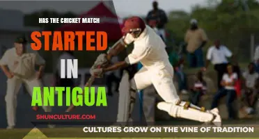 Antigua Cricket Match Update: Has the Game Begun Yet?