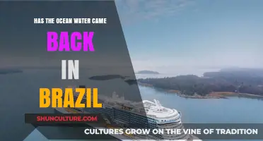 Brazil's Ocean Water Return: What's Happening on the Coast?