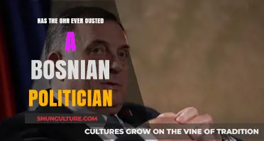 Has the OHR Ever Removed a Bosnian Politician from Office?