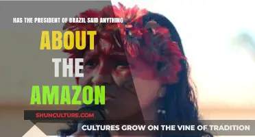 Brazil's President Addresses Amazon: Key Statements and Environmental Impact