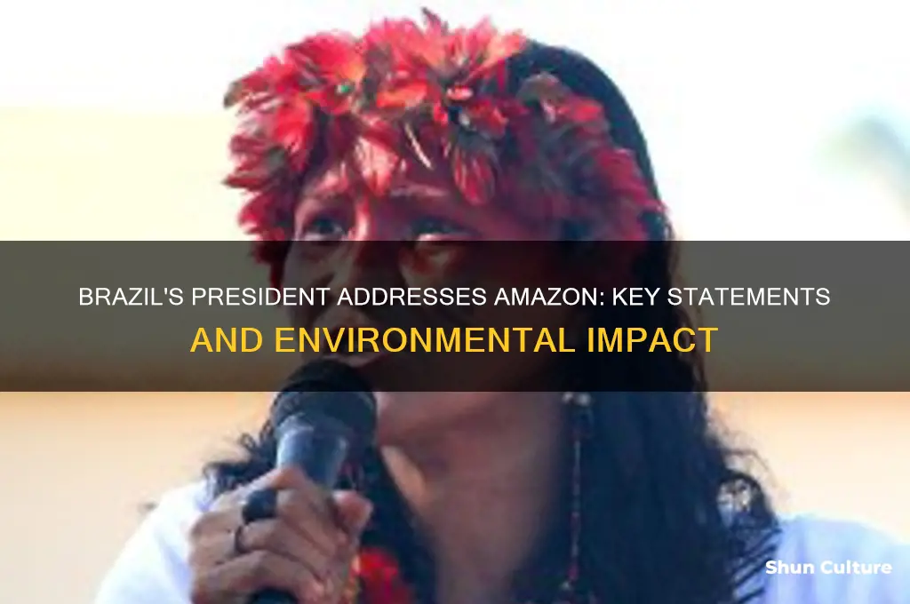 has the president of brazil said anything about the amazon