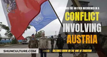 UN Peacekeeping: Austria's Conflict Intervention