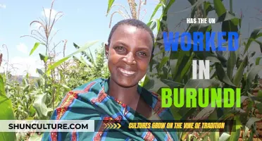 Assessing the UN's Impact in Burundi: A Comprehensive Review