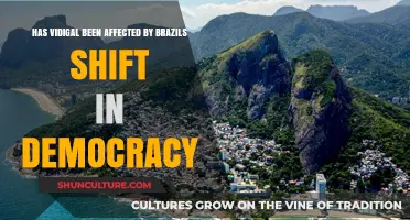 Brazil's Democracy Shift: Impact on Vidigal's Community and Future