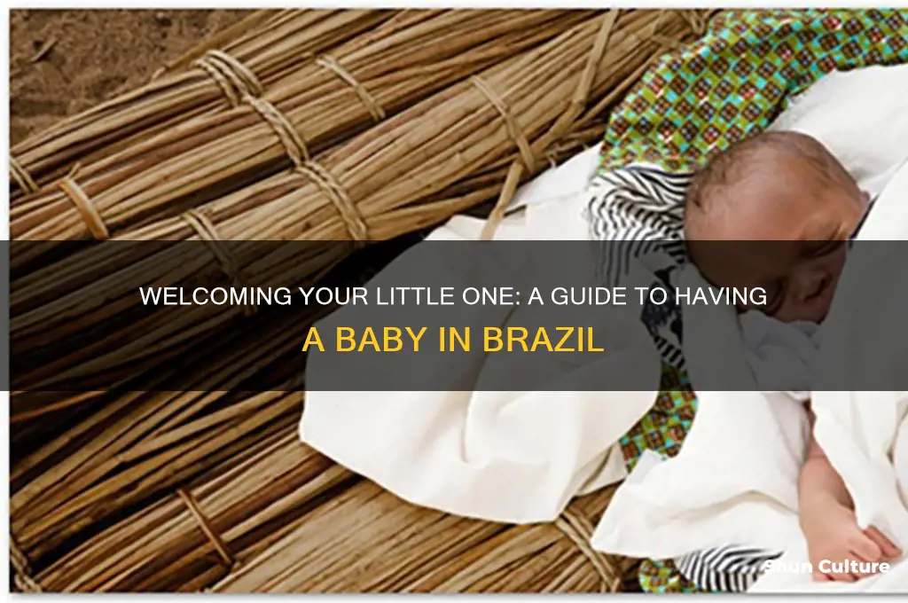 have a baby in brazil