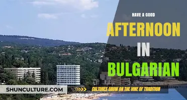 Sunny Smiles and Warm Delights: Your Perfect Bulgarian Afternoon