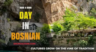 Imajte lijep dan: Bosnian Phrases for a Perfect Day in Bosnia