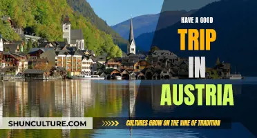 Exploring Austria: A Traveler's Guide to an Unforgettable Trip