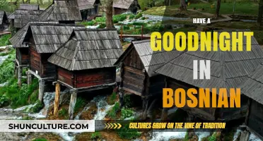Laku noć: Mastering the Art of a Perfect Bosnian Goodnight