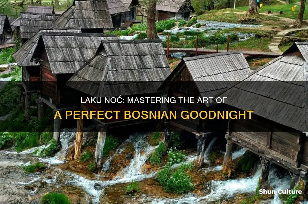 have a goodnight in bosnian