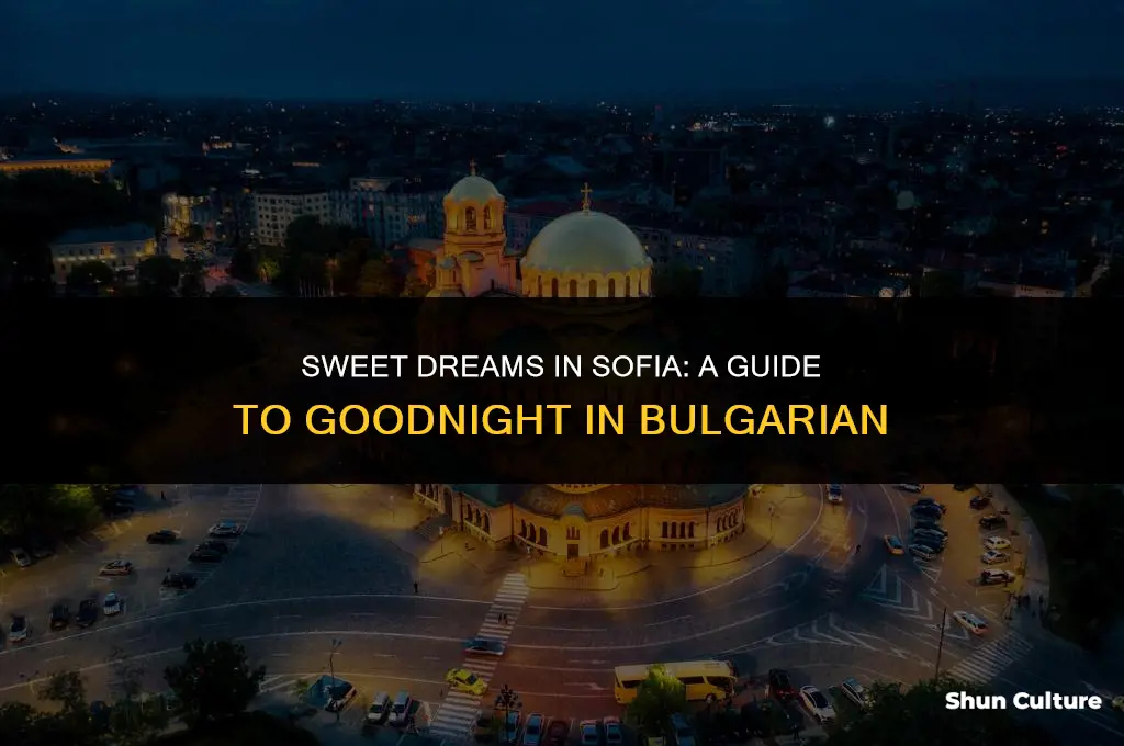have a goodnight in bulgarian