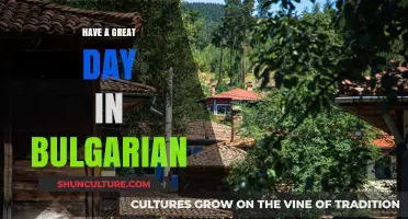 Unforgettable Bulgarian Adventures: Your Guide to a Perfect Day