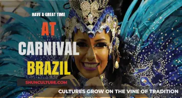 Experience Brazil's Carnival: Tips for an Unforgettable Celebration Adventure