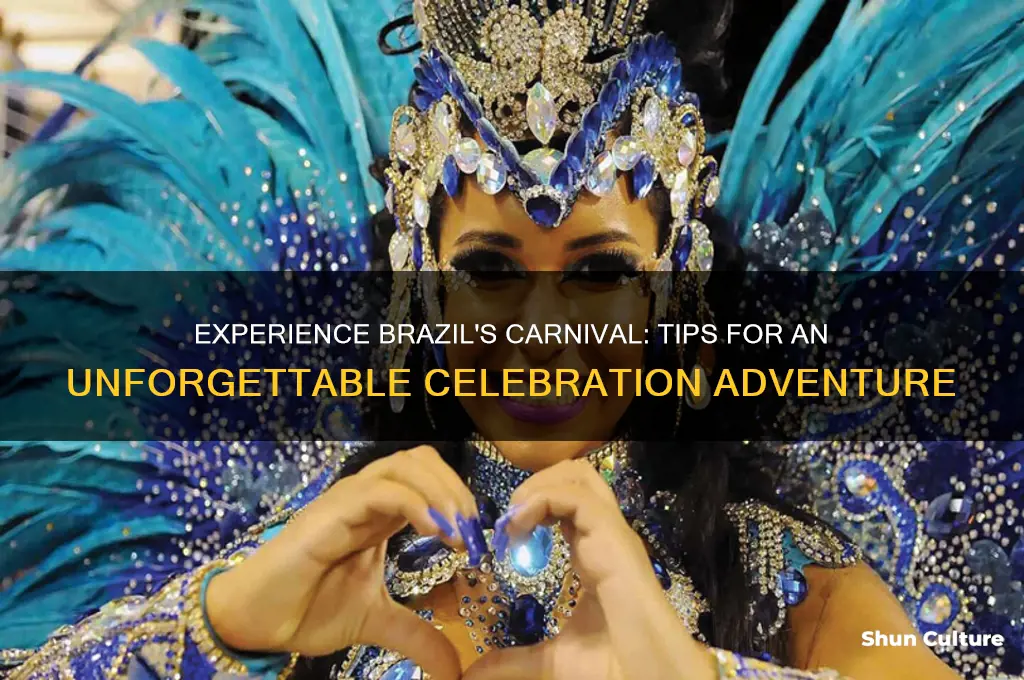 have a great time at carnival brazil