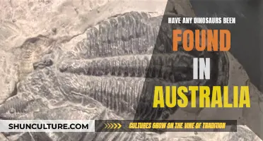 Dinosaur Discoveries: Australian Digs Unearth Ancient Reptiles