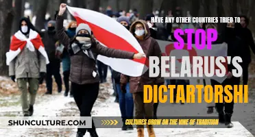 Belarus's Dictatorship: Who's Trying to Stop It?